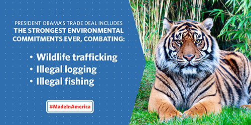 President Obama's trade deal includes the strongest environmental commitments ever — combatting wildlife trafficking, illegal logging, and illegal fishing.