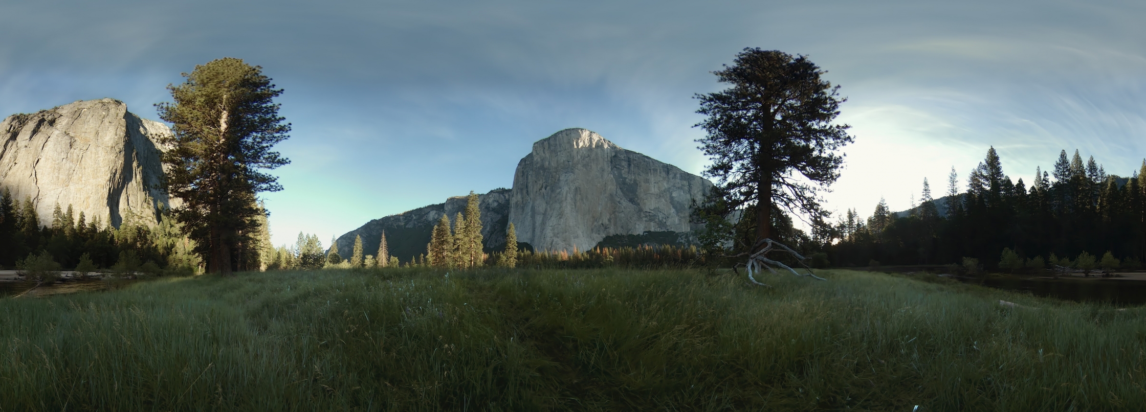 El Cap Meadow in Yosemite 