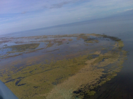 Everglades Aerial