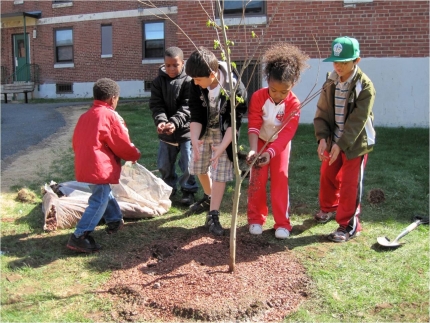 Groundwork Somerville, Garden Youth Crew