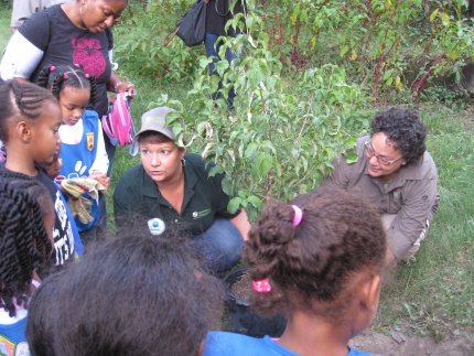 lpj and ns plant trees