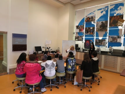 Super Neuroscience Saturday 1