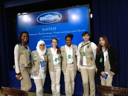 SoSTEM 2013 Scouts