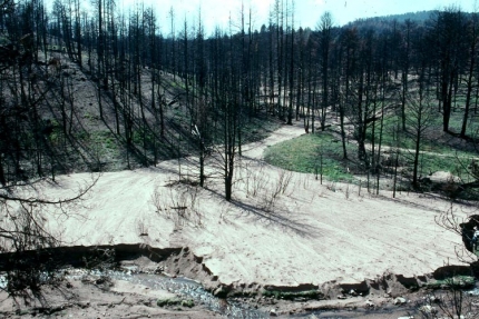 Wildfire Sediment Deposit