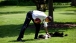 President Barack Obama pets Bo