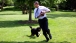 Bo Chases the President