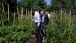 Garden Tour