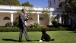 The President and Bo Play Fetch