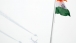 India 31