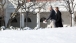 The President has a snow walk with Denis McDonough