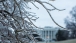 Ice covers trees on the South Grounds