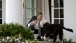President Barack Obama Pets Bo