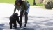 The First Lady walks with Sunny after the garden planting