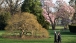 President Obama Walks Along the South Lawn Drive