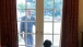 Bo Waits to Greet President Obama at the Door