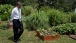 President Obama Walks in the White House Kitchen Garden 