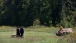 Sept. 11, 2011-Flight 93 National Memorial