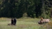 President Barack Obama And First Lady Visit Site Of Flight 93 Crash