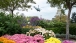 Marine One Departs the South Lawn 