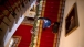 President Obama and First Lady Michelle Obama Walk Down the Grand Staircase