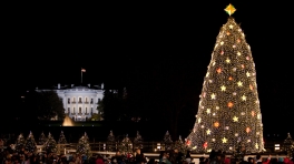 President Obama Lights the National Christmas Tree
