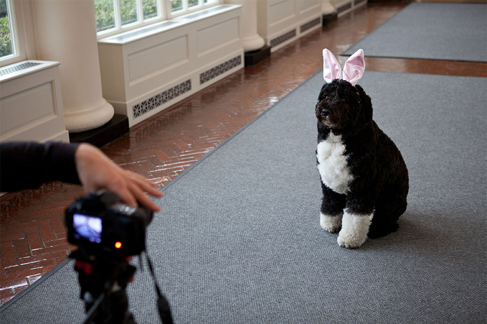 2012: A Year in Photos - The White House