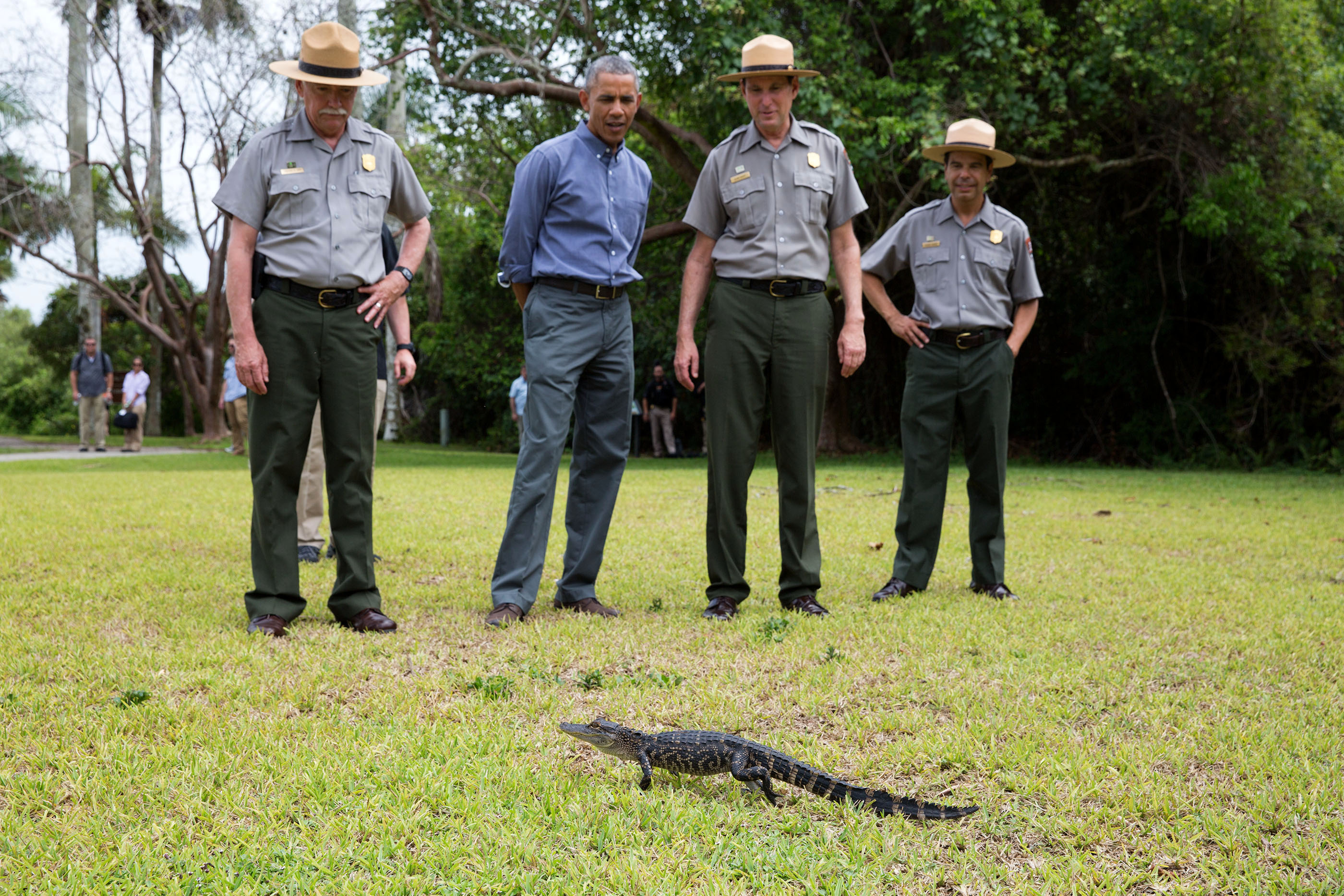 Florida, April 22, 2015. Keeping his distance from a baby alligator on Earth Day at Everglades National Park. (Official White House Photo by Pete Souza)