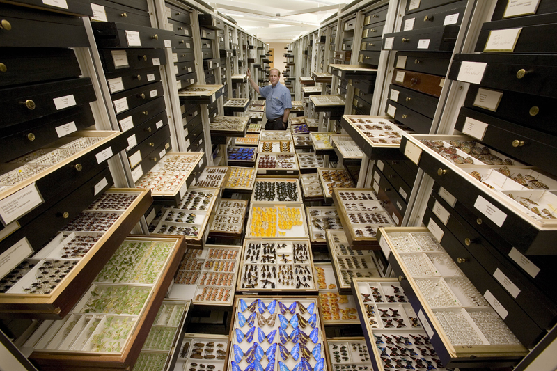 Scientific Collections 1