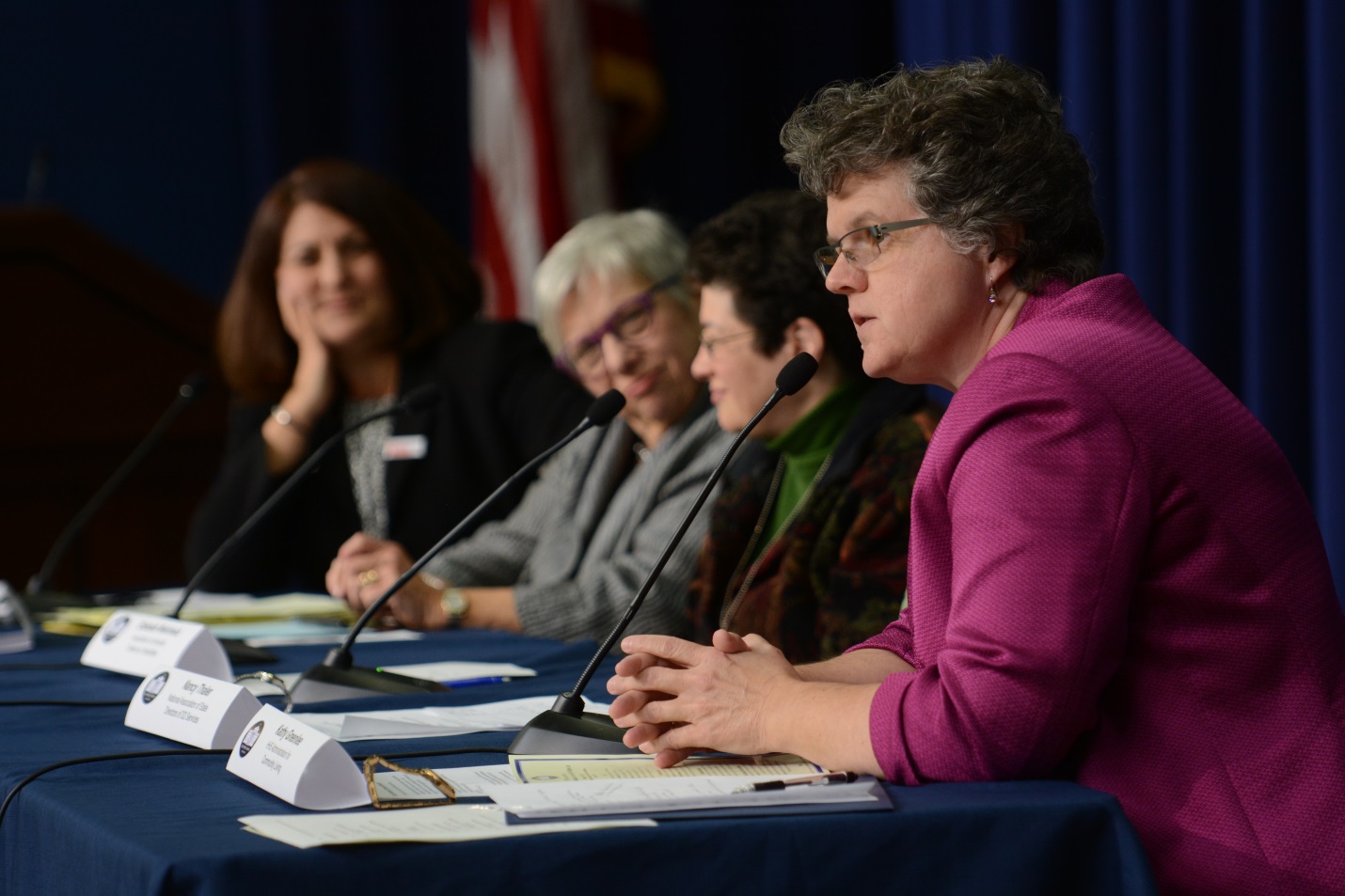 Kathy Greenlee, Assistant Secretary for Aging, U.S. Department of Health and Human Services, discusses long-term services and support. (Photo courtesy of the Department of Health and Human Services, Administration for Community Living)
