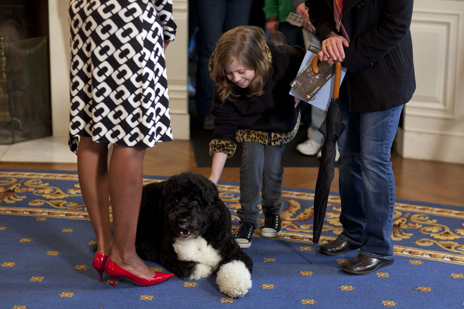 A White House Visitor Pets Bo