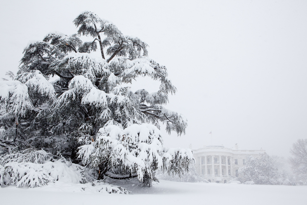 White House Grounds After February Blizzard