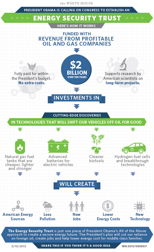 Infographic: Energy Security Trust