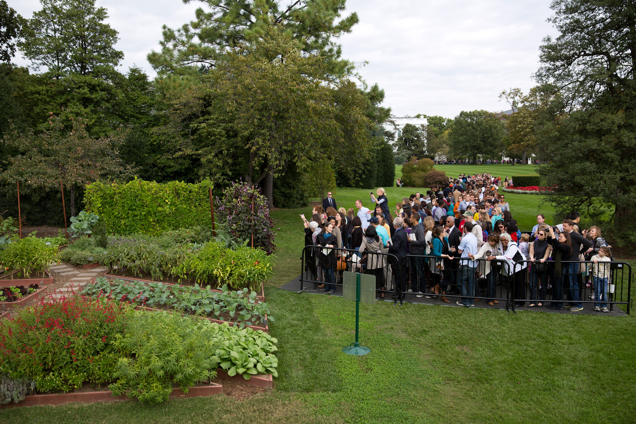 What we learned in the garden with former White House chef and