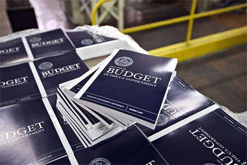 The 2014 budget