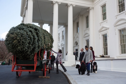 The First Lady Receives the Christmas Tree 2014