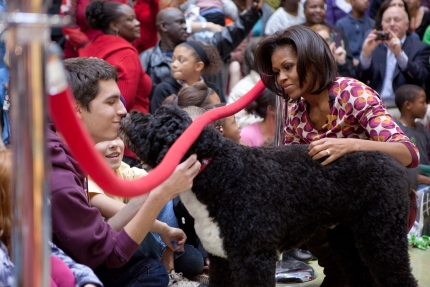 Bo at Children's National Medical Center