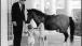 Macaroni the Pony with President Kennedy 