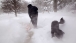 Bo in the Blizzard