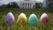Eggs for the 2011 Easter Egg Roll photographed on the South Lawn of the White House