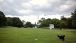 Bo Runs On The South Lawn