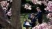 President Obama And Prime Minister Cameron Hold A Press Conference