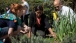 Kitchen Garden Spring Planting 2