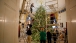 Volunteers Decorate White House Christmas Tree