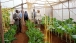 Dr. Jill Biden on a Tour of the Kenya Agriculture Research Institute in Nairobi, Kenya