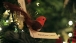 Tribute to Rosalynn Carter