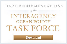 Final Recommendations of the Interagency Ocean Policy Task Force