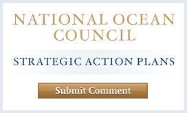 National Ocean Council Strategic Action Plan