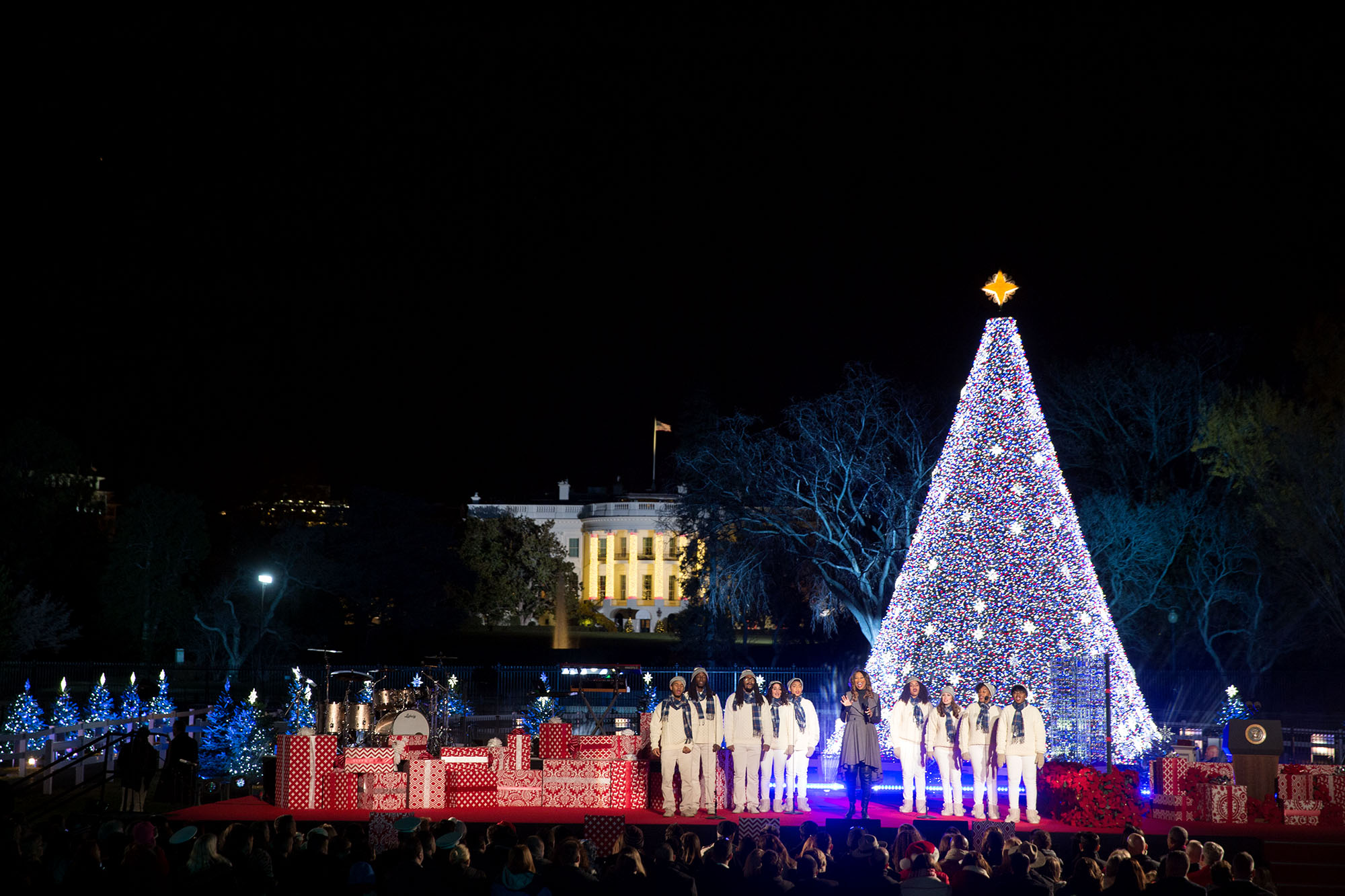 Yolanda Adams performs during the National Christmas Tree lighting on the Ellipse in Washington, D.C., Dec. 1, 2016. (Official White House Photo by Lawrence Jackson)