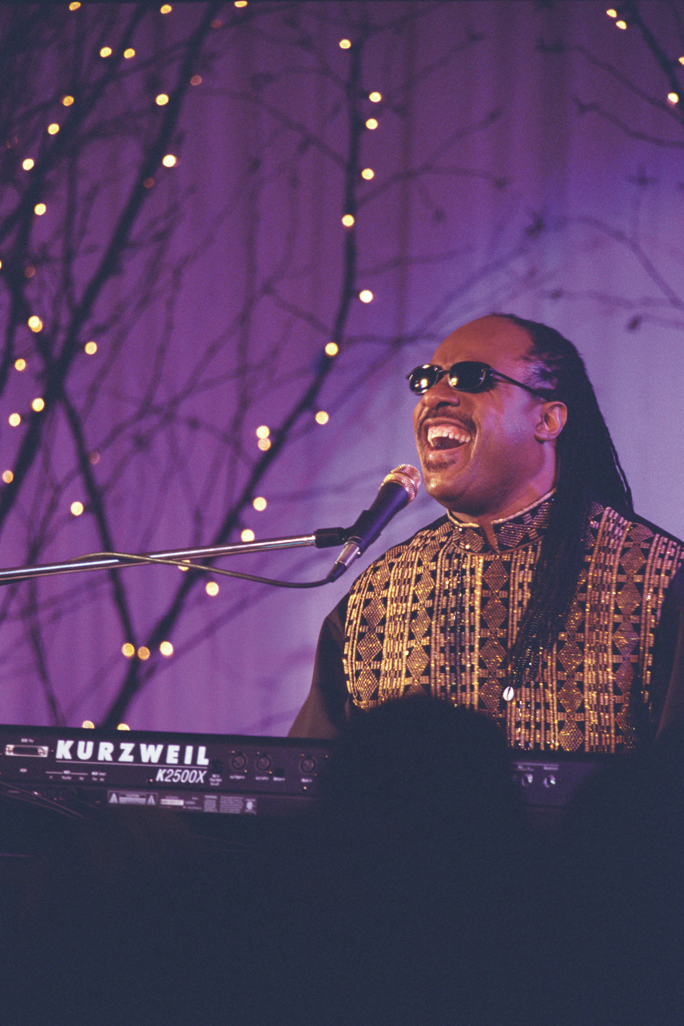 Stevie Wonder