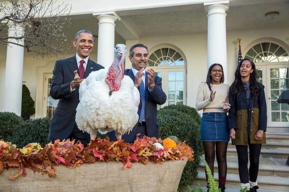 President Barack Obama and daughters Sasha and Malia participate in the annual National Thanksgiving Turkey pardon ceremony in the Rose Garden of the White House, Nov. 25, 2015. National Turkey Federation Chairman Jihad Douglas participates. (Official White House Photo by Pete Souza)